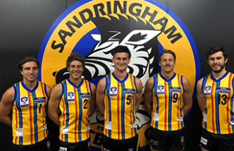 Sandringham Zebras VFL Club