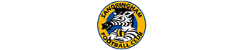 Sandringham Zebras VFL Club