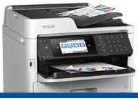 Epson Scanning